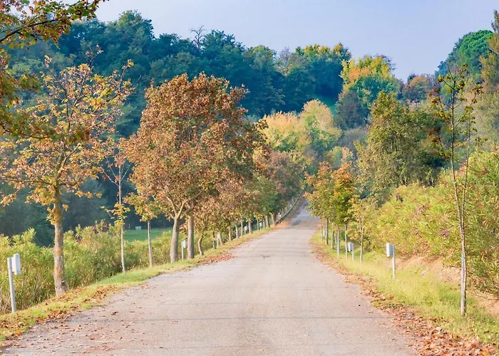 Bolognaroomscom - Ca' Palazzo ساسو ماركوني