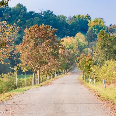 Bolognaroomscom - Ca' Palazzo Sasso Marconi